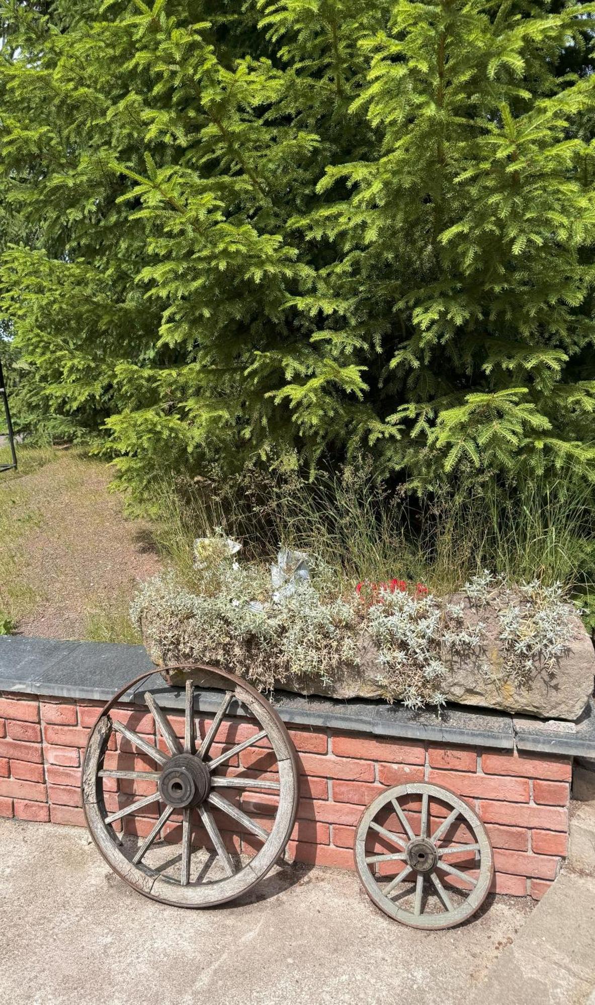 Marchewkowe Pole Villa Sosnina Dış mekan fotoğraf