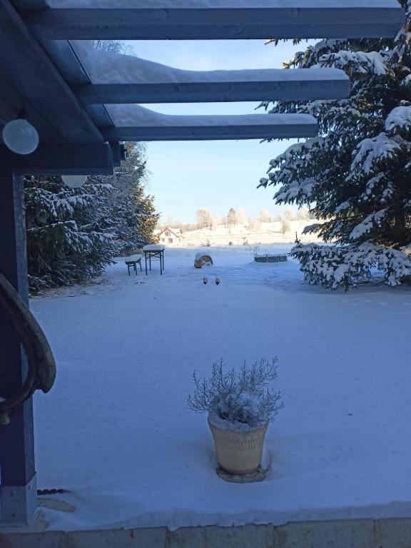 Marchewkowe Pole Villa Sosnina Dış mekan fotoğraf